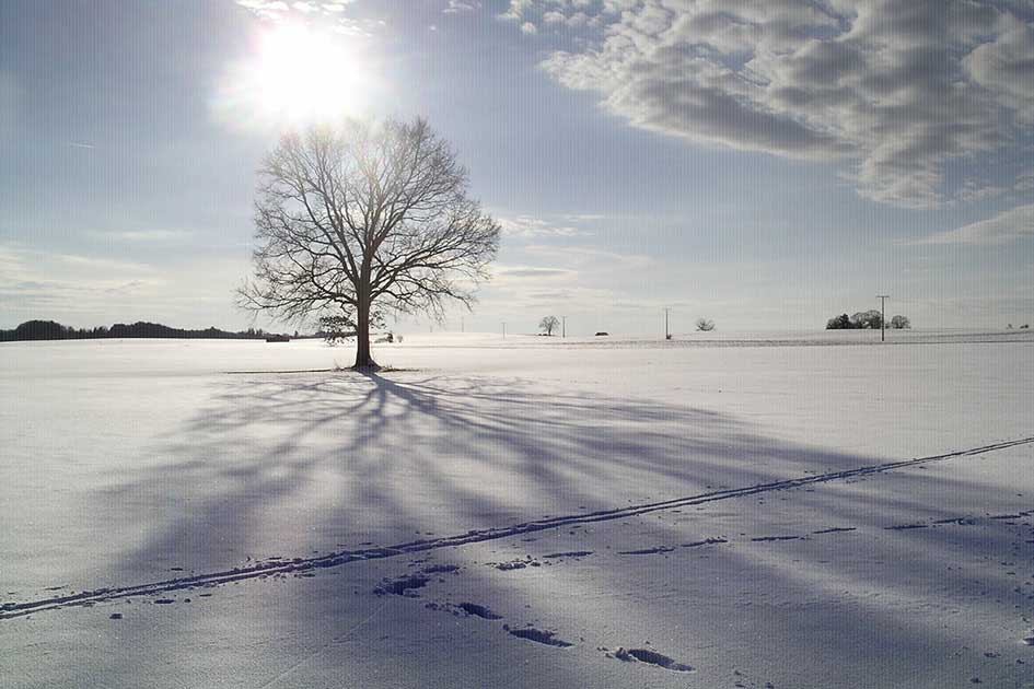 BlickMe - Landsherr Design und Fotografie | NATURE | WINTER