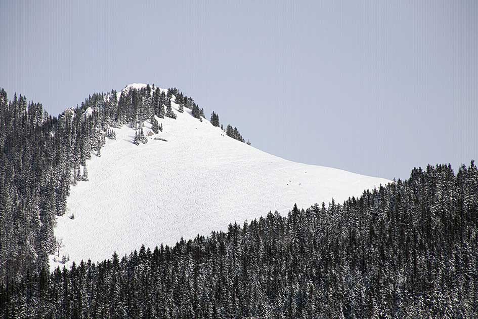 BlickMe - Landsherr Design und Fotografie | NATURE | WINTER