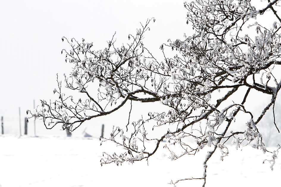 BlickMe - Landsherr Design und Fotografie | NATURE | WINTER