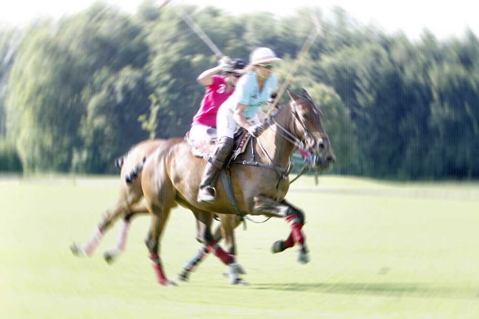 BlickMe - Landsherr Design und Fotografie | ART | HORSE+ BLUR