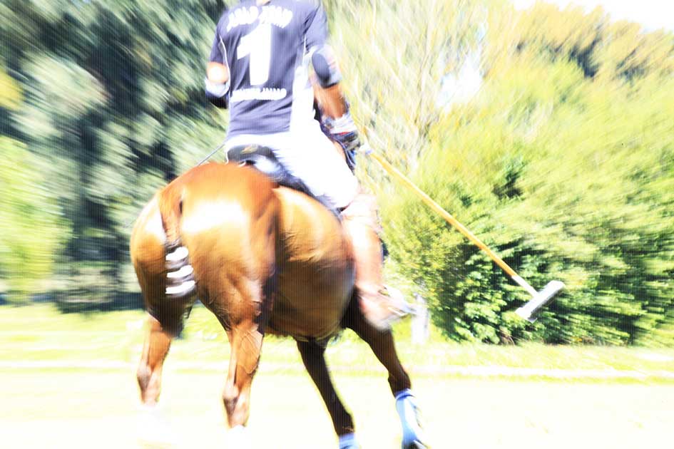 BlickMe - Landsherr Design und Fotografie | ART | HORSE+ BLUR