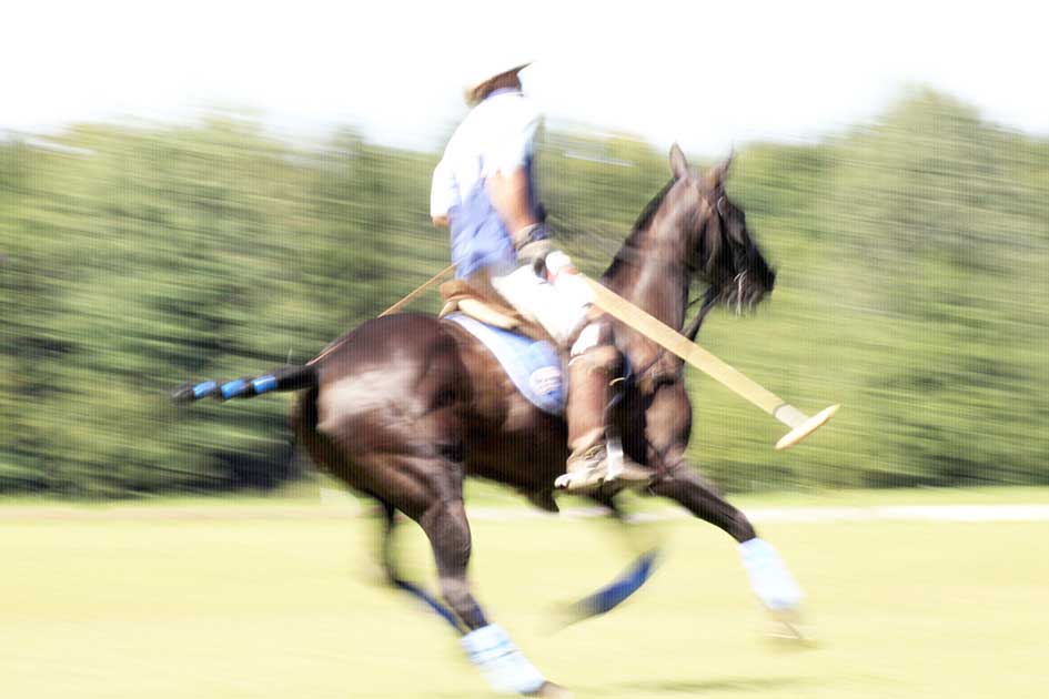 BlickMe - Landsherr Design und Fotografie | ART | HORSE+ BLUR