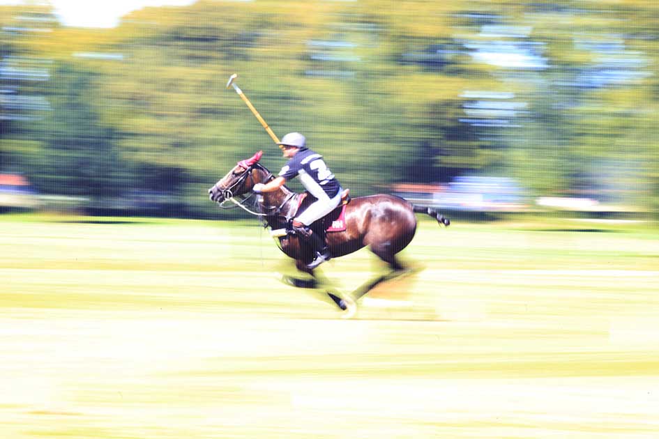 BlickMe - Landsherr Design und Fotografie | ART | HORSE+ BLUR