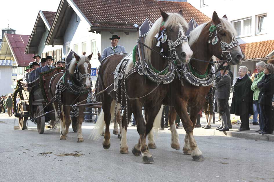 BlickMe - Landsherr Design und Fotografie | TRADITION | LEONHARDI