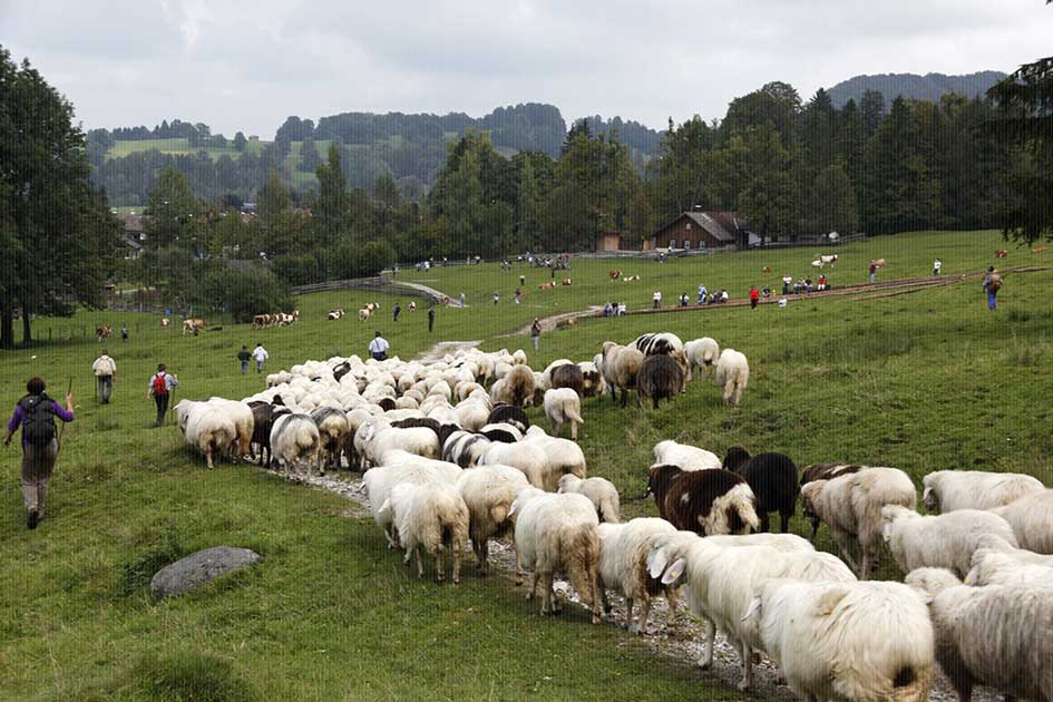 BlickMe - Landsherr Design und Fotografie | BAVARIA | SCHAFSCHEID