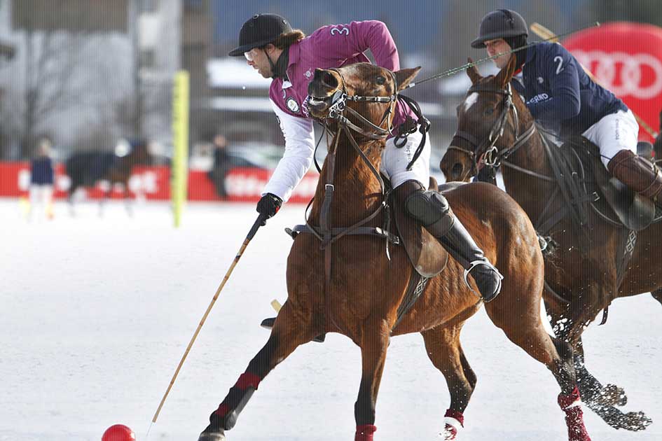 BlickMe - Landsherr Design und Fotografie | SPEED | SNOWPOLO