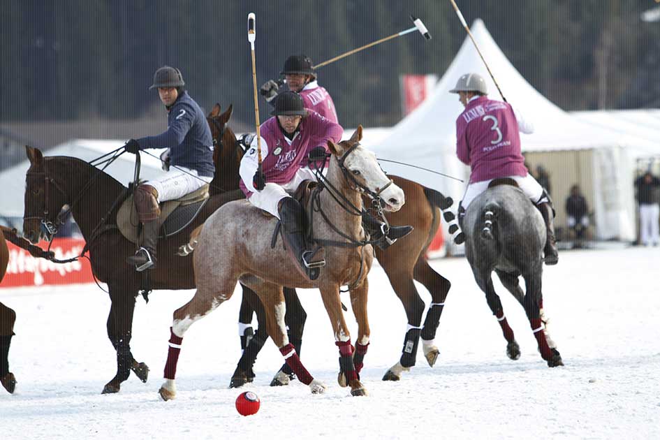 BlickMe - Landsherr Design und Fotografie | SPEED | SNOWPOLO