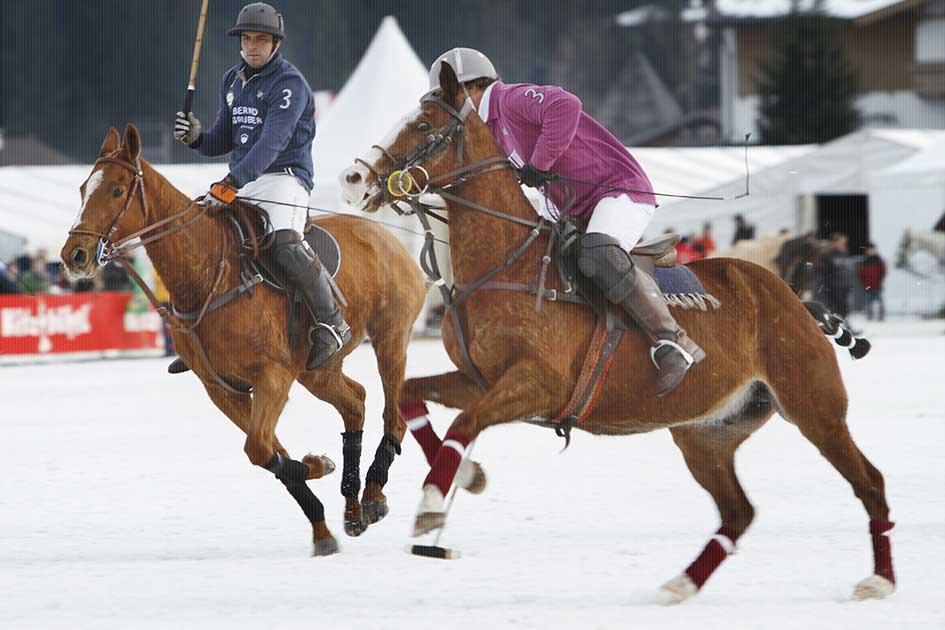 BlickMe - Landsherr Design und Fotografie | SPEED | SNOWPOLO